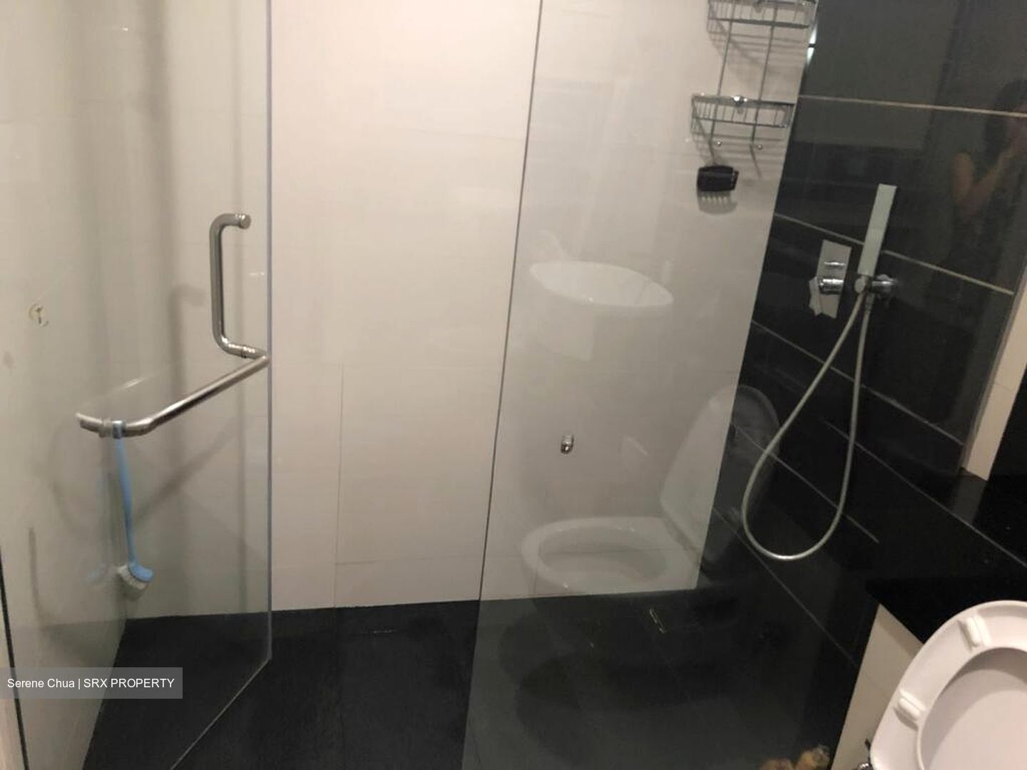 Alexis (D3), Apartment #517134951